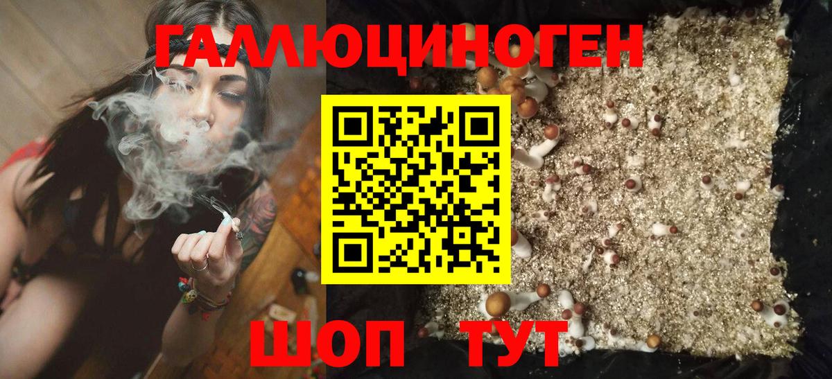 Семёнов  Псилоцибиновые грибы Magic Shrooms  Вход с VPN 